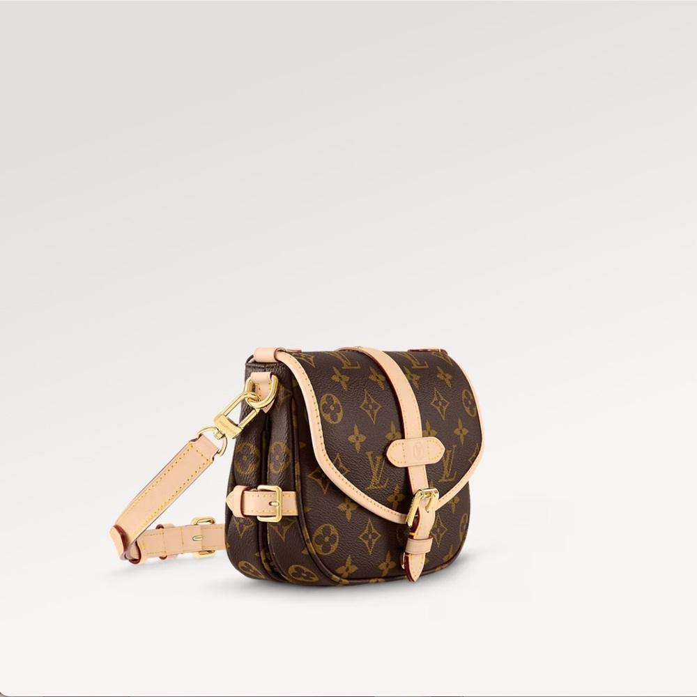 Louis Vuitton Saumur BB - Picture 14 of 16